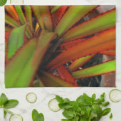 Schraubenkiefer Küchentuch (Gefaltet)