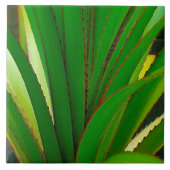 Schraubklemme Fliese (Vorderseite)