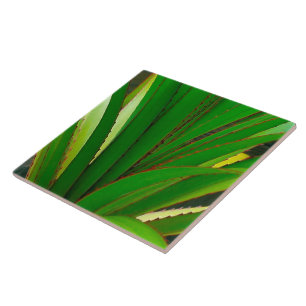 Schraubklemme Fliese