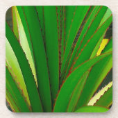 Schraubklemme Untersetzer (Vorderseite)