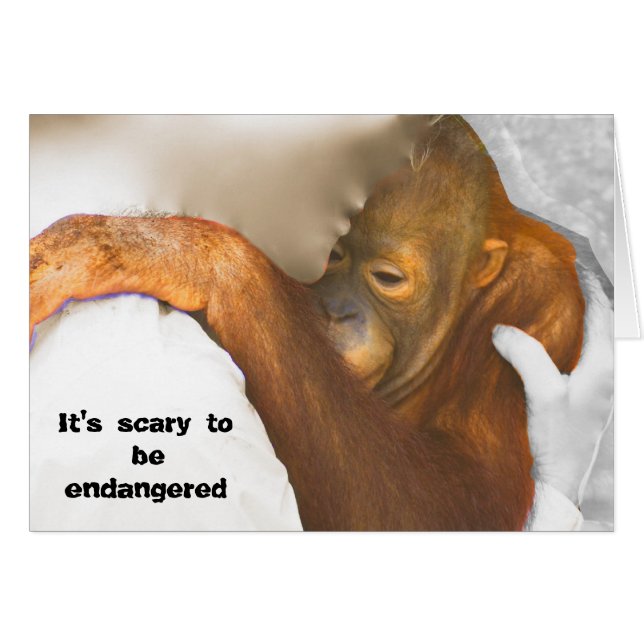 Schrecklich bedrohter Orangutan (Vorderseite (Horizontal))