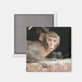Schrecklicher Affe mit großem Augenmagnet Magnet (Vorderseite/Rückseite)