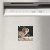 Schrecklicher Affe mit großem Augenmagnet Magnet (In Situ (Geschirrspüler))