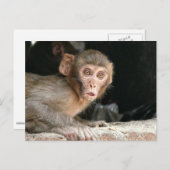Schrecklicher Affe mit großen Augen Postkarte (Vorne/Hinten)