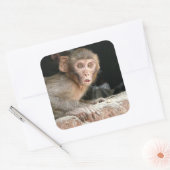 Schrecklicher Affe mit großen Augen Quadratischer Aufkleber (Umschlag)