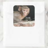 Schrecklicher Affe mit großen Augen Quadratischer Aufkleber (Tasche)