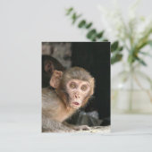 Schrecklicher Affe mit großen Augen vertikale Kart Postkarte (Stehend Vorderseite)