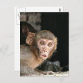 Schrecklicher Affe mit großen Augen vertikale Kart Postkarte (Vorne/Hinten)