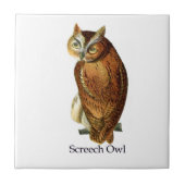 Schrei-Eule Fliese (Vorderseite)