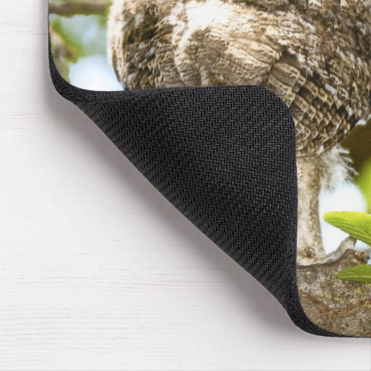 Schrei-Eulen-Küken 2 Mousepad (Ecke)