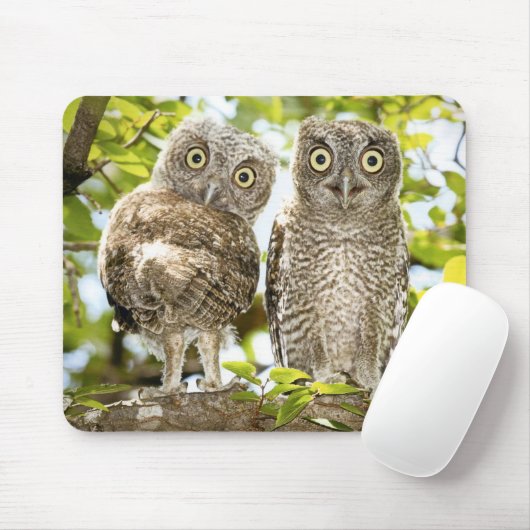 Schrei-Eulen-Küken 2 Mousepad (Mit Mouse)