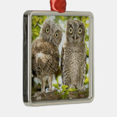 Schrei-Eulen-Küken Ornament Aus Metall (Rechts)