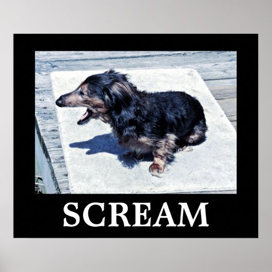 Schrei Poster (Vorne)