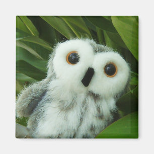 Schrei-Schrei! Magnet