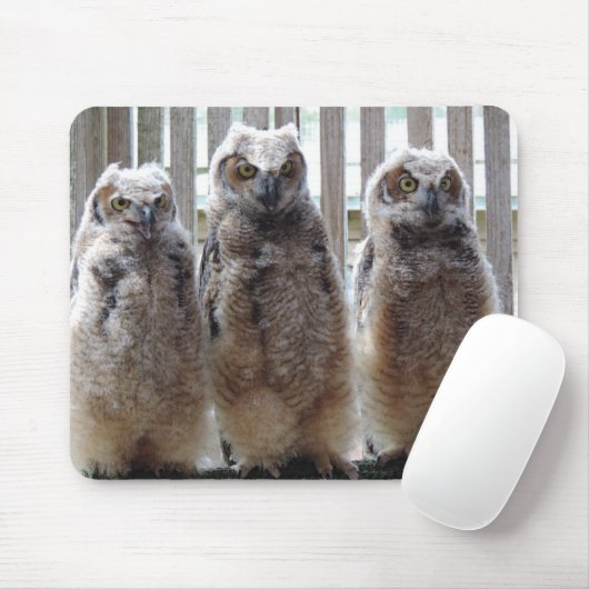 Schrei! Schrei! Schrei!  Mousepad (Mit Mouse)