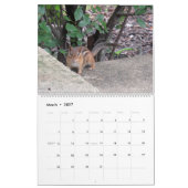 Schreiben 2025 kalender (Mär 2027)