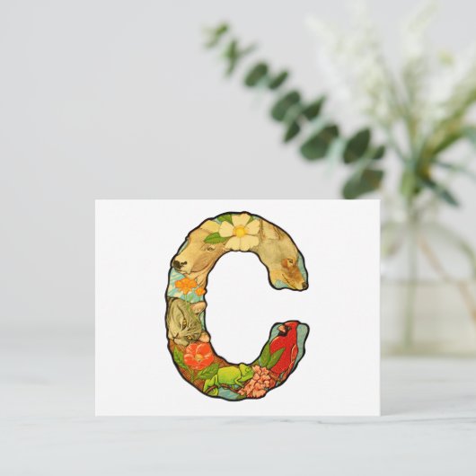 Schreiben C Postkarte (Stehend Vorderseite)