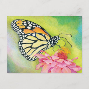 Schreiben von Postkarten an Demokraten - Butterfly