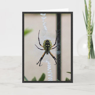 Schreibens-Spinne Karte