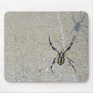 Schreibens-Spinne sieht, dass es Schatten Mousepad
