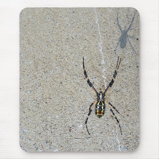 Schreibens-Spinne sieht, dass es Schatten Mousepad (Vorne)