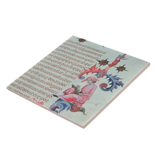 Schreiber oder Chronist, vielleicht ein Fliese (Seite)