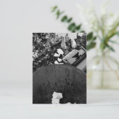 Schreibmaschinenpostkarte Postkarte (Stehend Vorderseite)