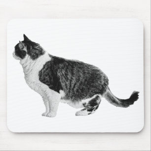 Schreibtisch-Profil, Ausgeglichene Stimmung Mousepad