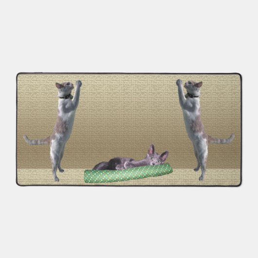 Schreibtischmatte - Katzen beim Spielen (Vorderseite)