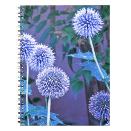 Schreibzeitschrift Notizblock