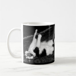 Schreie Katzen Kaffeetasse