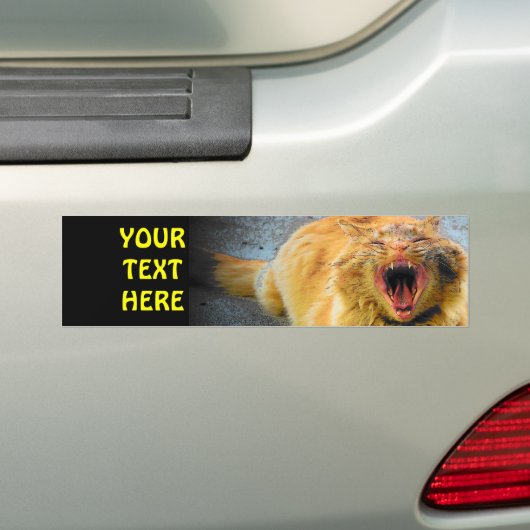 Schreiende Katze plus Ihren Text Autoaufkleber (Auf Auto)
