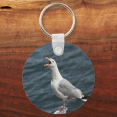 schreiende seagull singende Liebe Lieder Schlüsselanhänger (Vorderseite)