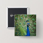 Schreiender Pfau Button (Vorne & Hinten)