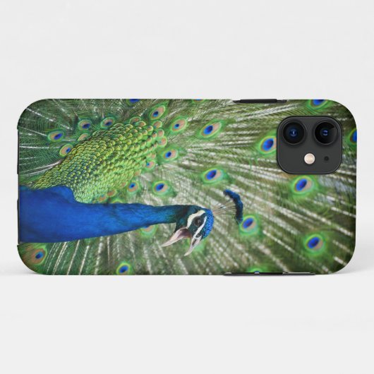Schreiender Pfau Case-Mate iPhone Hülle (Rückseite (Horizontal))