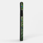 Schreiender Pfau Case-Mate iPhone Hülle (Hinten/Rechts)