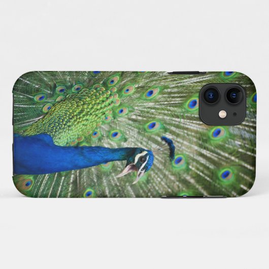 Schreiender Pfau Case-Mate iPhone Hülle (Rückseite (Horizontal))