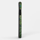 Schreiender Pfau Case-Mate iPhone Hülle (Hinten/Rechts)