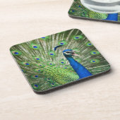 Schreiender Pfau Getränkeuntersetzer (Linke Seite)