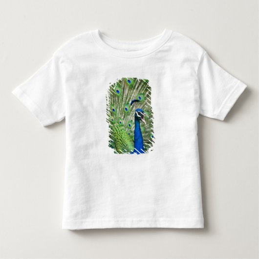 Schreiender Pfau Kleinkind T-shirt (Vorderseite)