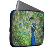 Schreiender Pfau Laptopschutzhülle (Vorne Rechts)