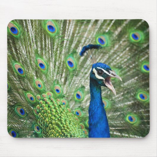 Schreiender Pfau Mousepad (Vorne)