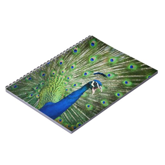 Schreiender Pfau Notizblock (Linke Seite)