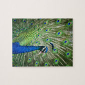 Schreiender Pfau Puzzle (Horizontal)