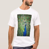 Schreiender Pfau T-Shirt (Vorderseite)
