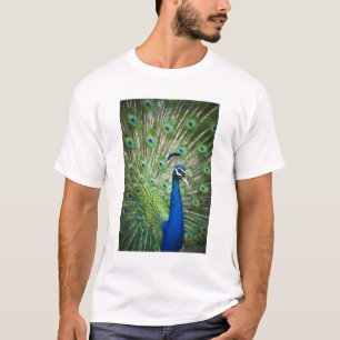Schreiender Pfau T-Shirt