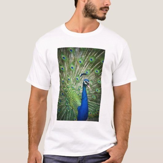 Schreiender Pfau T-Shirt (Vorderseite)