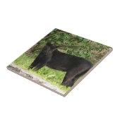 Schreitene Panther-Fliese Fliese (Seite)