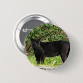 Schreitenes Panther-Button Button (Vorne & Hinten)