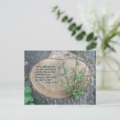 Schrift Postkarte (Stehend Vorderseite)